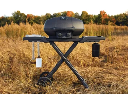 Barbecue PHANTOM TRAVELQ PRO285X Gas Grill di Napoleon