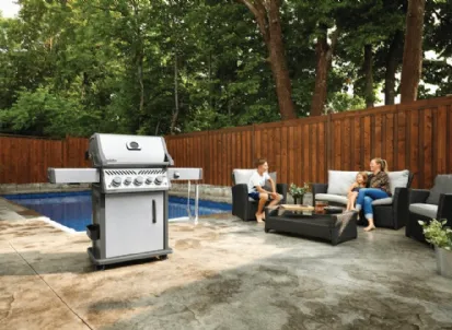 Barbecue ROGUE SE 425 RSIB Gas Grill di Napoleon