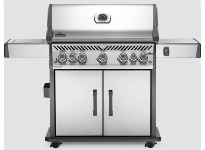 Barbecue Rogue SE625 RSIB Gas Grill di Napoleon