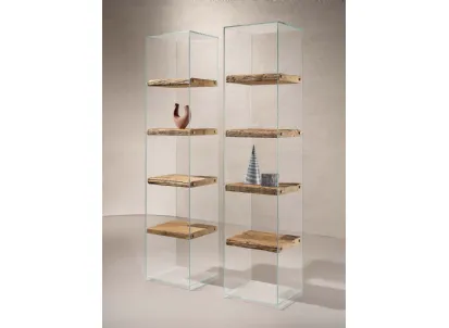 Libreria Frost con struttura in vetro trasparente e ripiani in legno Secolare naturale di Nature Design