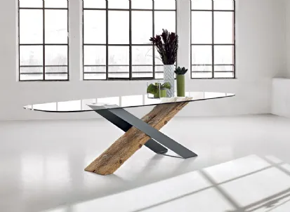Tavolo con piano in vetro X di Nature Design