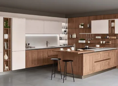 Cucina Moderna con penisola Armonia 02 in Noce nodoso a doghe e laccato opaco di Veneta Cucine