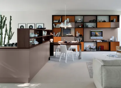 Cucina Moderna con isola Extra Go in laccato Marrone Visone e Rovere Botte di Veneta Cucine